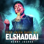 Elshaddai - Tere Jaisa Kaun Hai artwork