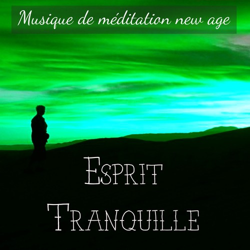 Esprit Tranquille - Musique de méditation new age pour exercice de mémoire chakras reiki équilibre émotionnel avec sons natural relaxants_poster_image