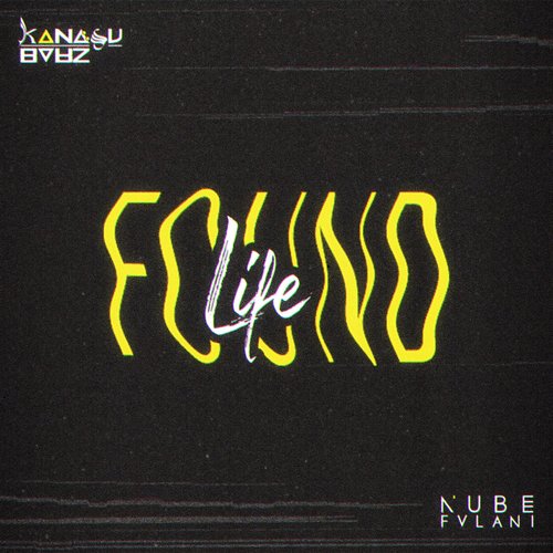 Found Life_poster_image