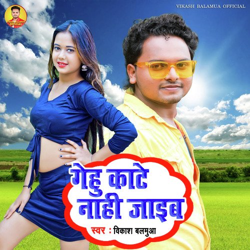 Gehu Kate Nahi Jaaib