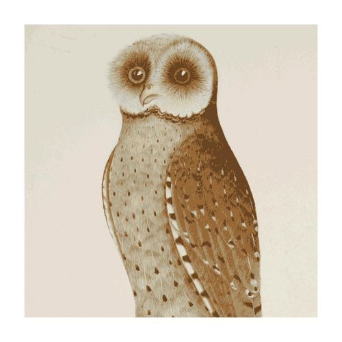 The Woods cover art