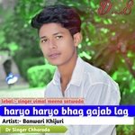Haryo haryo bhag gajab lag (Hindi)