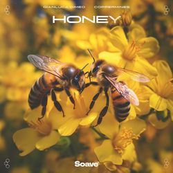 Honey-FRhGRQxeYVk