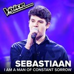 I'm A Man Of Constant Sorrow (The Voice Van Vlaanderen 2017 / Live)