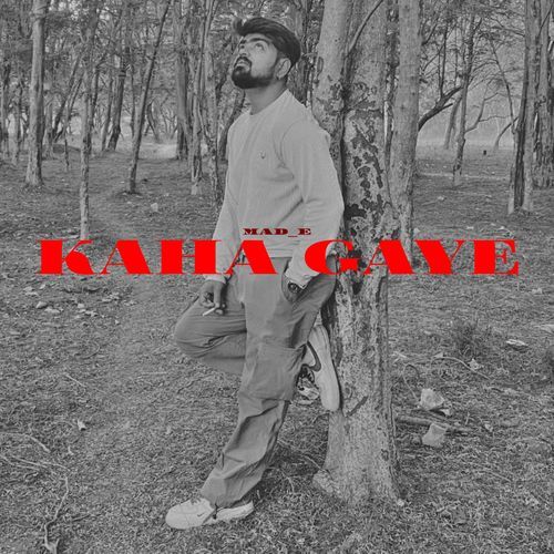 Kaha Gaye
