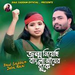 জন্ম নিয়েছি বাংলা মায়ের বুকে