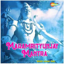 Mahamrityunjay Mantra-NRtfaxNaREE