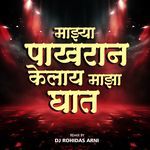 Majhya Pakharan Kelay Maza Ghat (Dj Rohidas Arni)