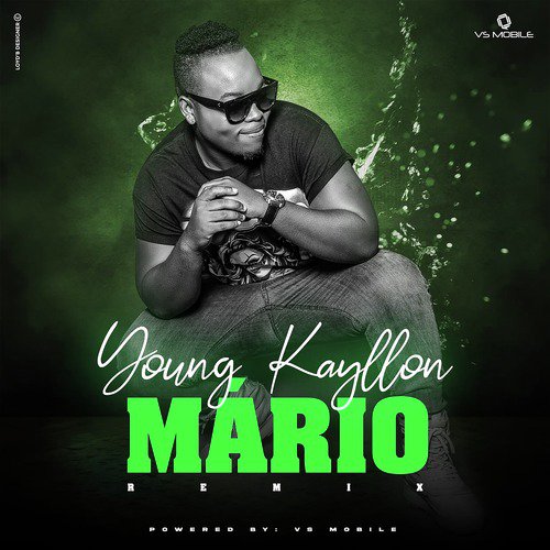 Mario cover art