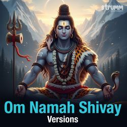 Om Namah Shivay Dhun