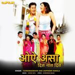 Oye Ansha Dil Naal Dil