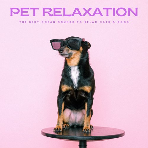 Sleepy Dogs cover art