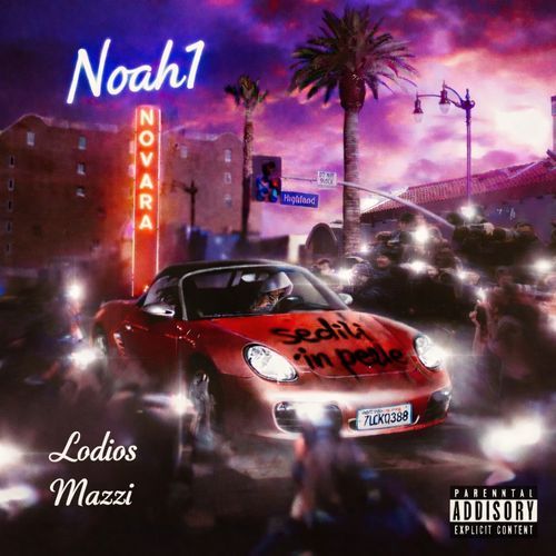 SEDILI IN PELLE cover art