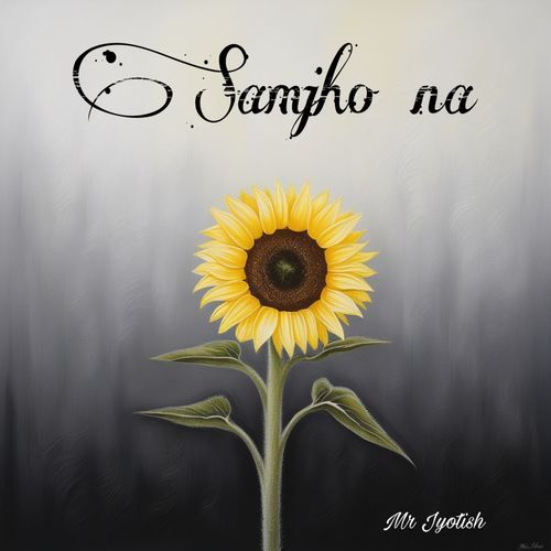 Samjho na (Audio edit)