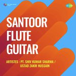Santoor Flute Guitar