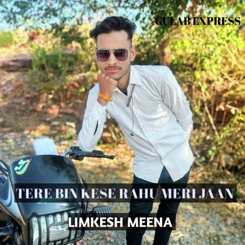 Tere bin kese rahu meri jaan (Rajesthani)