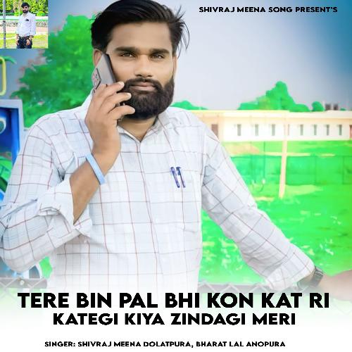 Tere Bin Pal Bhi Kon Kat Ri Kategi Kiya Zindagi Meri