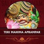 Teri Mahima Aprampar artwork