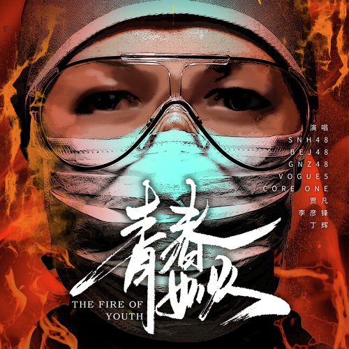 The Fire Of Youth_poster_image