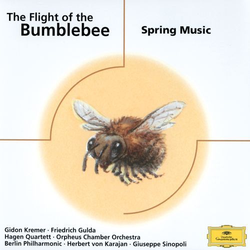 Rimsky-Korsakov: The Tale of Tsar Saltan: Flight of the Bumblebee (Arr. Feygin for Piano & String Orchestra) cover art