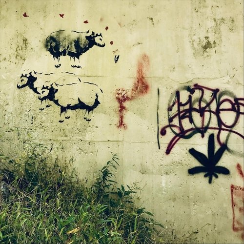 Del Rio cover art