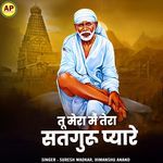 Tu Mera Mein Tera Satguru Pyare