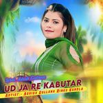 Ud Ja Re Kabutar