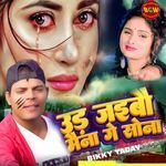 Udh Jaibo Ban Ke Maina Ge Sona