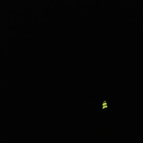 Unha fogueira Intacta