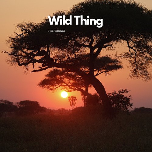 Wild Thing