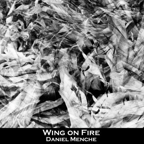 Wings On Fire