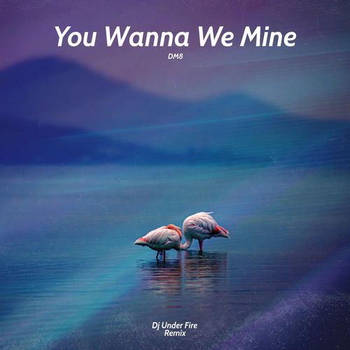 You Wanna We Mine (Dj Under Fire Remix)