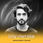 Zahar Chani Loluk (Slowed and Reverb)