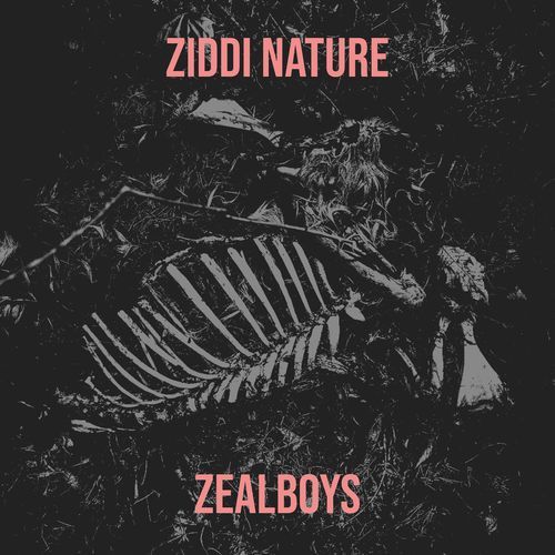Ziddi Nature