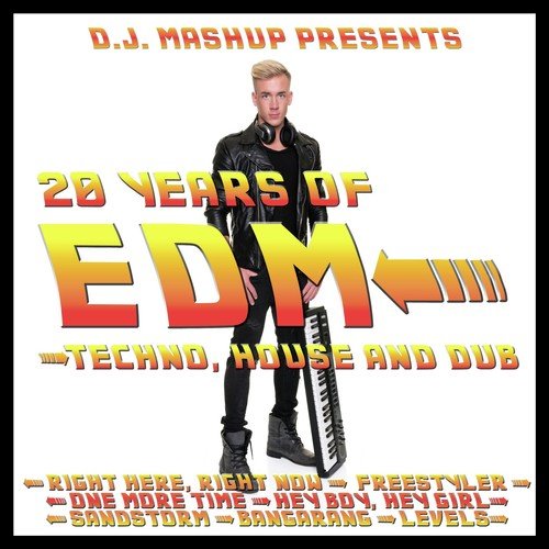 20 Years of EDM: Techno, House and Dub_poster_image