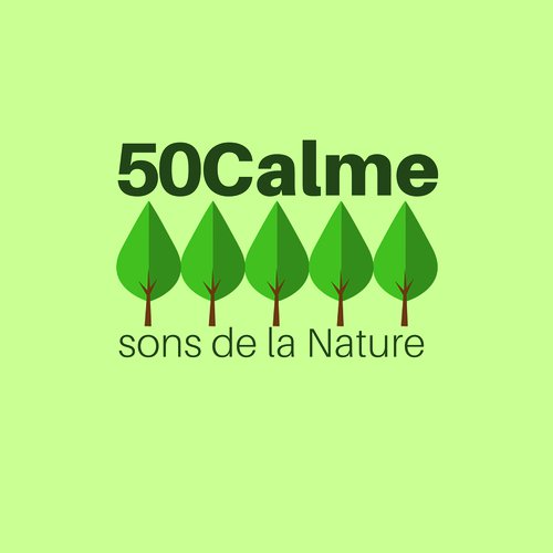 Atmosphère calme cover art