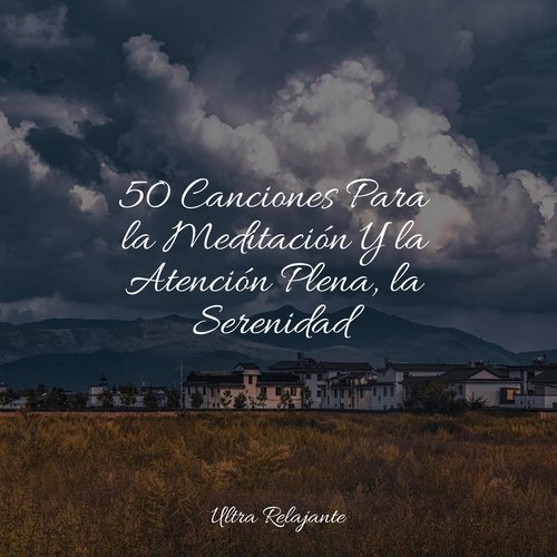 50 Canciones Para la Meditación Y la Atención Plena, la Serenidad_poster_image