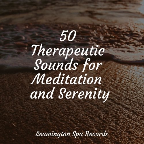 50 Therapeutic Sounds for Meditation and Serenity_poster_image