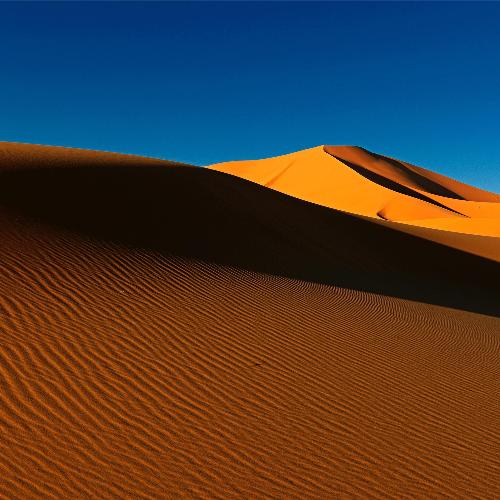 Arabia cover art