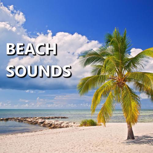 Beach Sounds