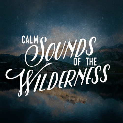 Calm Sounds of the Wilderness