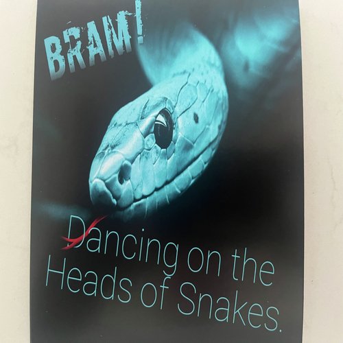 Dancing On The Heads Of Snakes
