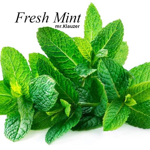 Fresh Mint cover art
