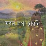 মৰম লগা চাৱনি