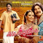 Mambulli Kaavil (Instrumental)