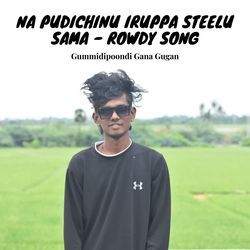 Na Pudichinu Iruppa Steelu Sama - Rowdy Song