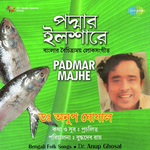 Padmar Majhe