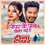 Pipar Ke Pana Dolat Nai He