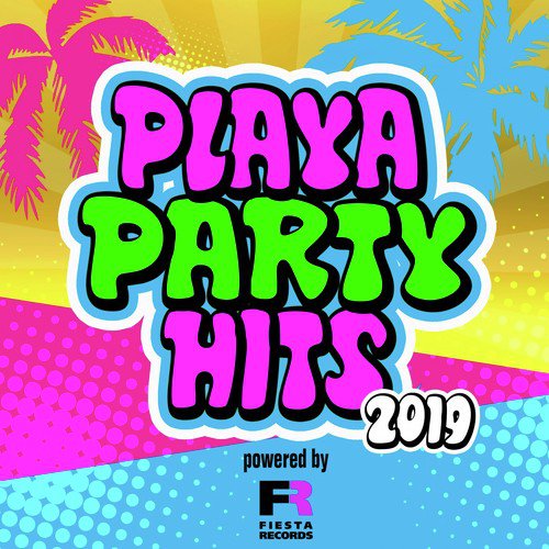 Playa Party Hits 2019 (Powered by Fiesta Records)_poster_image