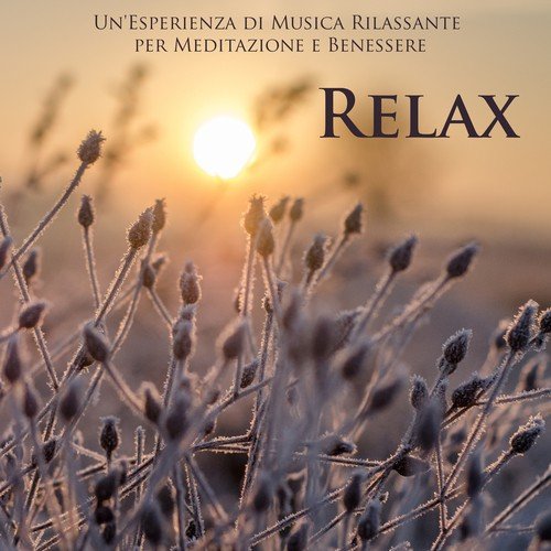 Musica Rilassante per Dormire cover art